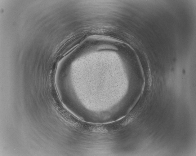 X0000051860258200507151828