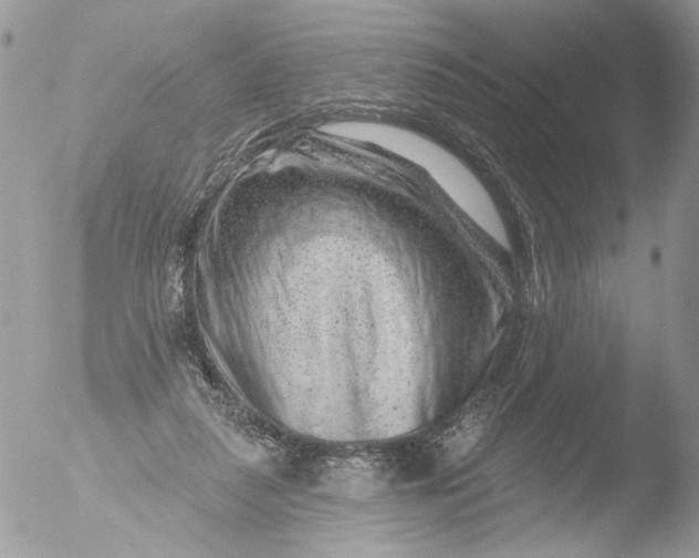 X0000051860259200507151828