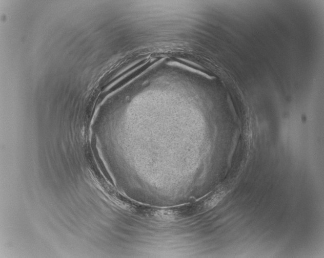 X0000051860261200507151828