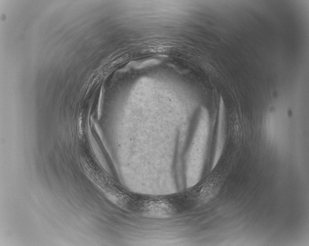 X0000051860262200507151828