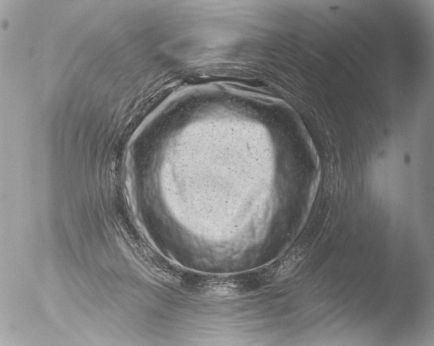 X0000051860263200507151828