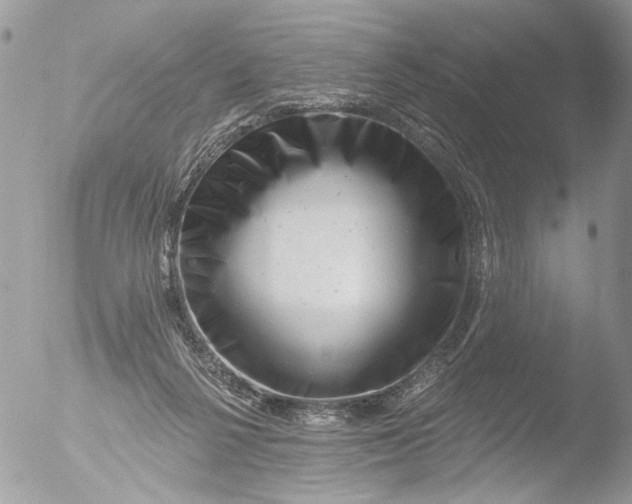 X0000051860264200507151828