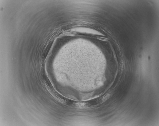 X0000051860265200507151828