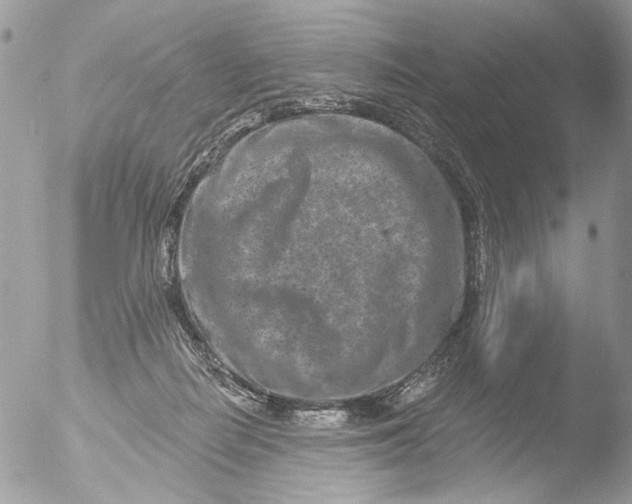 X0000051860266200507151828