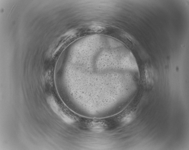 X0000051860270200507151828