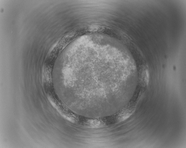 X0000051860272200507151828