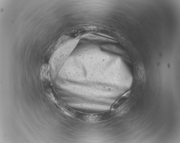 X0000051860273200507151828