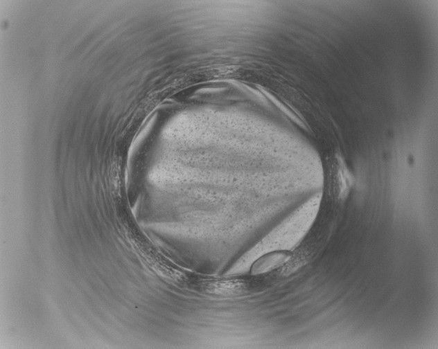 X0000051860274200507151828