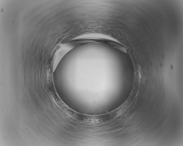 X0000051860276200507151828