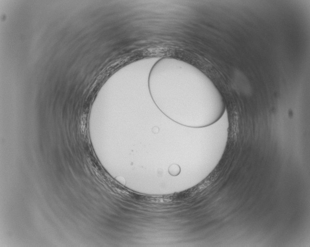 X0000051860278200507151828