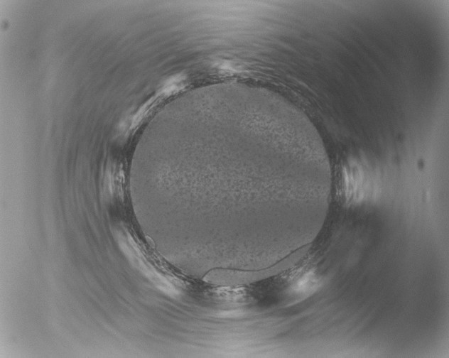 X0000051860279200507151828