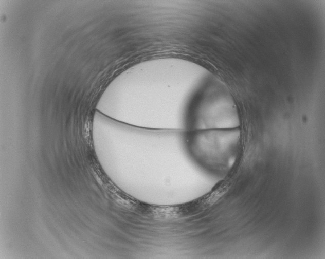 X0000051860281200507151828