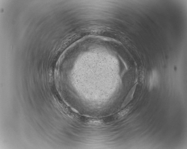 X0000051860283200507151828