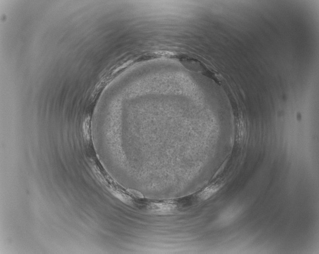 X0000051860286200507151828