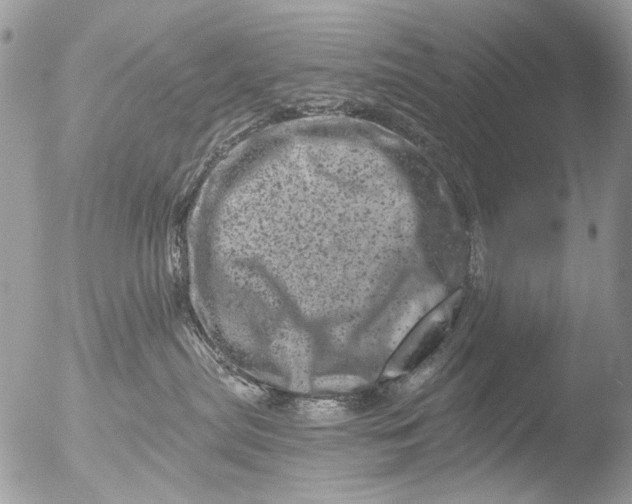 X0000051860287200507151828