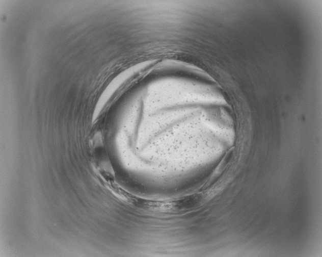 X0000051860288200507151828