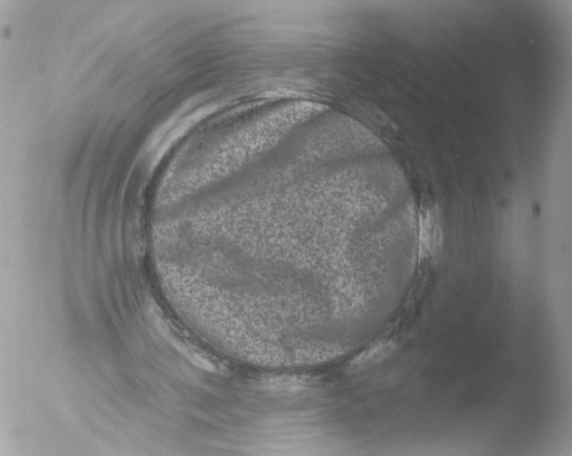 X0000051860291200507151827