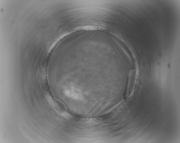 X0000051860297200507151827