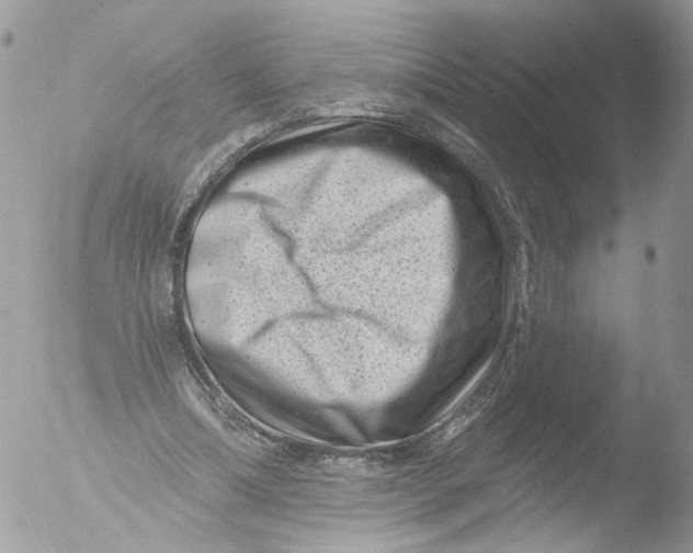 X0000051860298200507151827