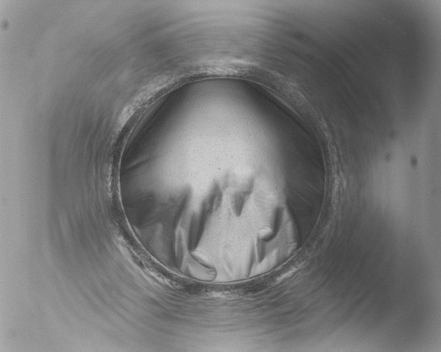 X0000051860299200507151827