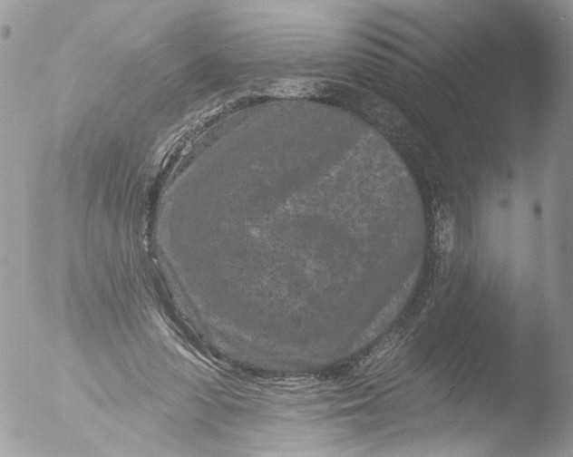 X0000051860303200507151827