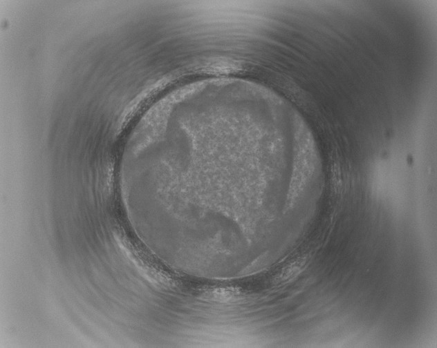 X0000051860304200507151827