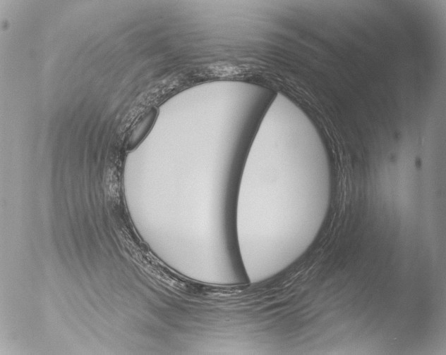 X0000051860317200507151827