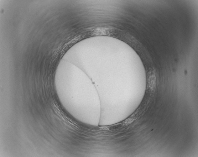 X0000051860318200507151827