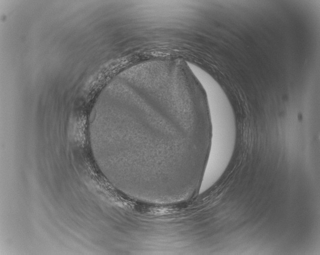 X0000051860319200507151827