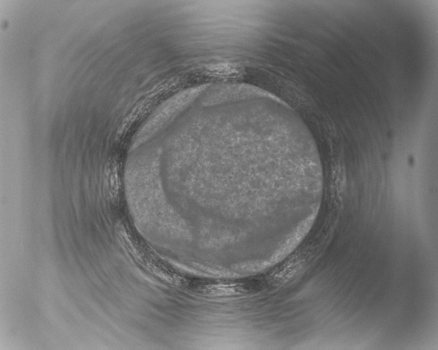 X0000051860320200507151827