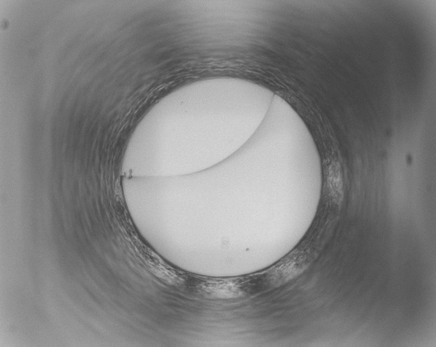 X0000051860322200507151827