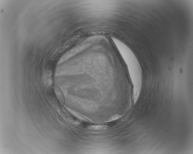 X0000051860323200507151827