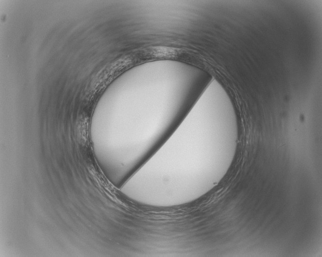 X0000051860325200507151827