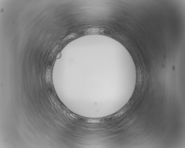 X0000051860326200507151827