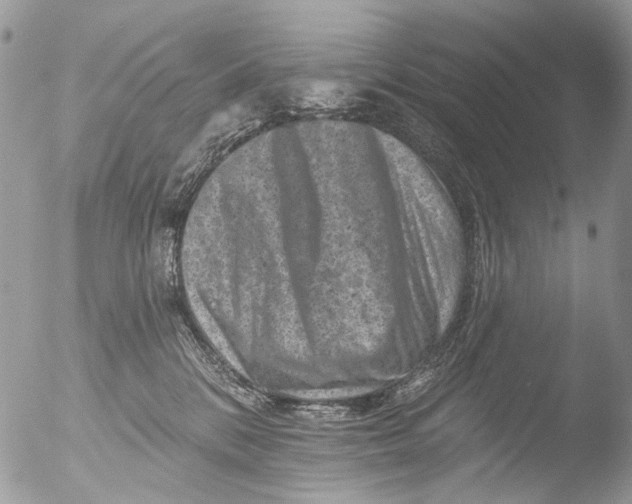 X0000051860328200507151827