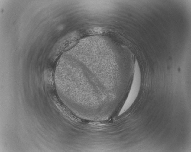 X0000051860331200507151827