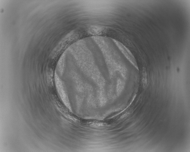 X0000051860332200507151827