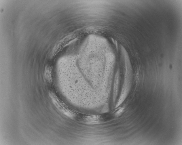 X0000051860335200507151827