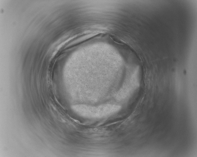 X0000051860338200507151826