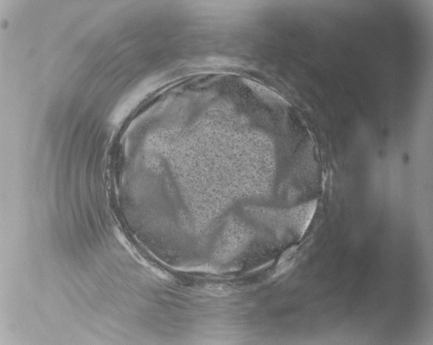 X0000051860341200507151826