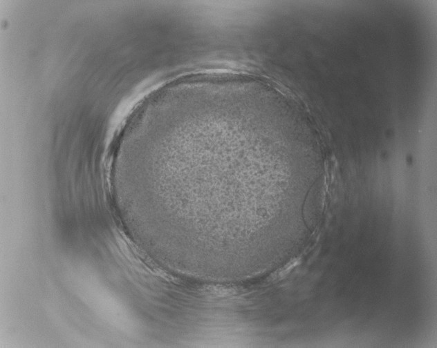 X0000051860343200507151826