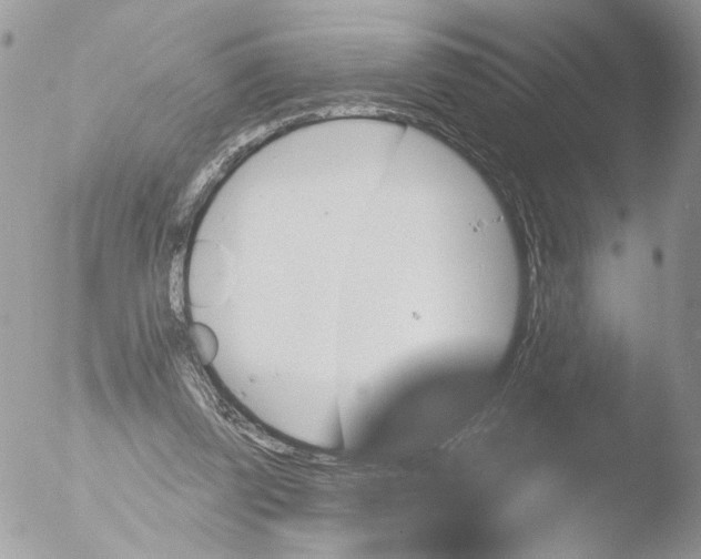 X0000051860347200507151826