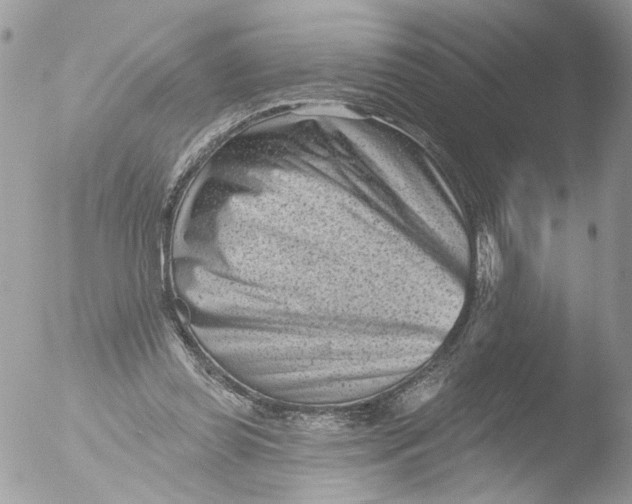 X0000051860349200507151826