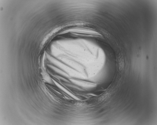 X0000051860350200507151826