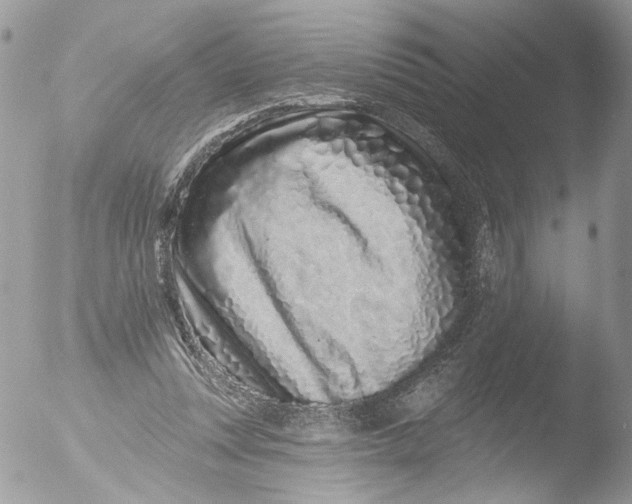 X0000051860351200507151826