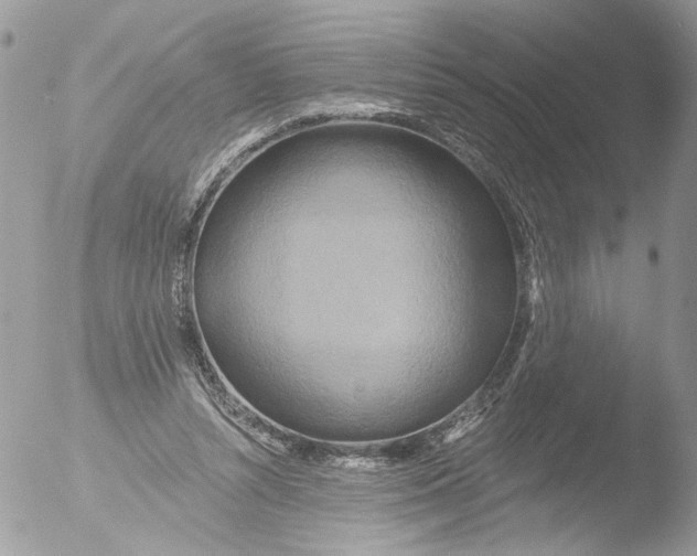 X0000051860352200507151826