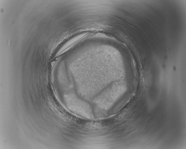 X0000051860354200507151826