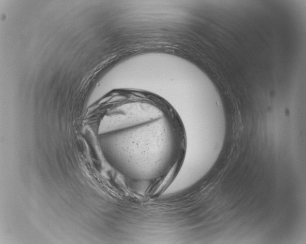 X0000051860356200507151826