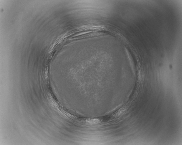 X0000051860357200507151826