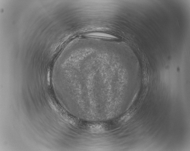 X0000051860358200507151826